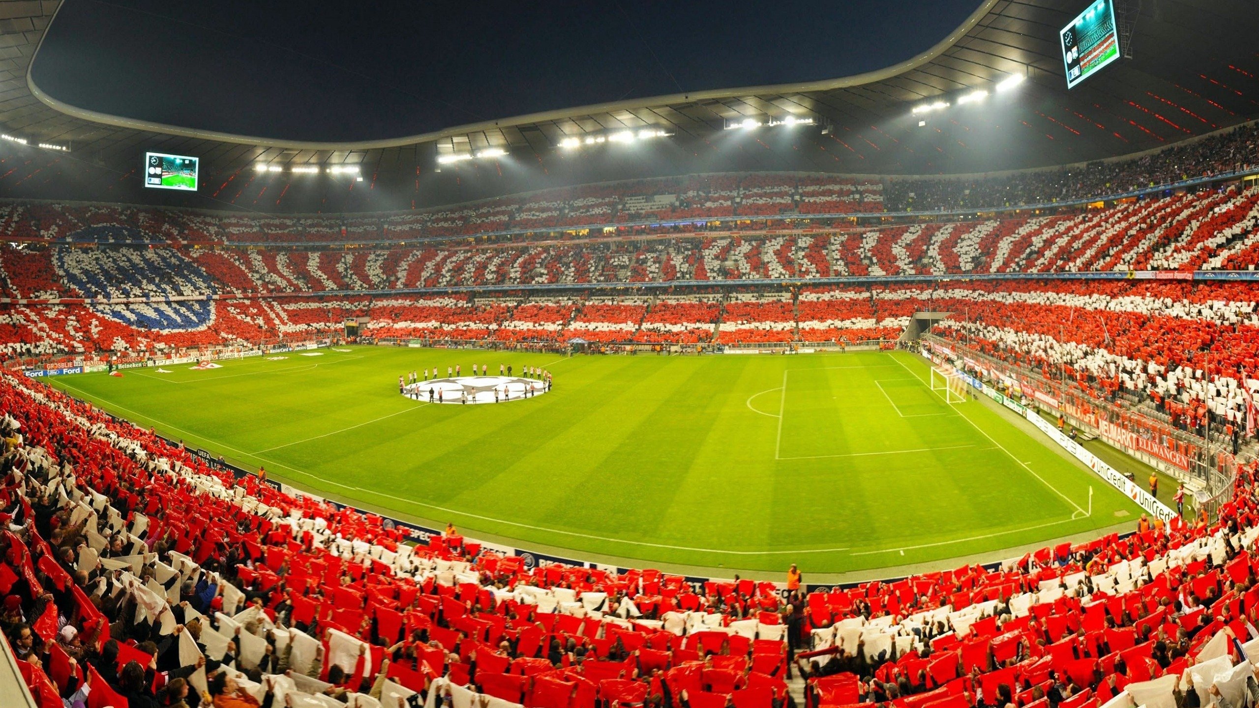 体育文化活动推动全民参与