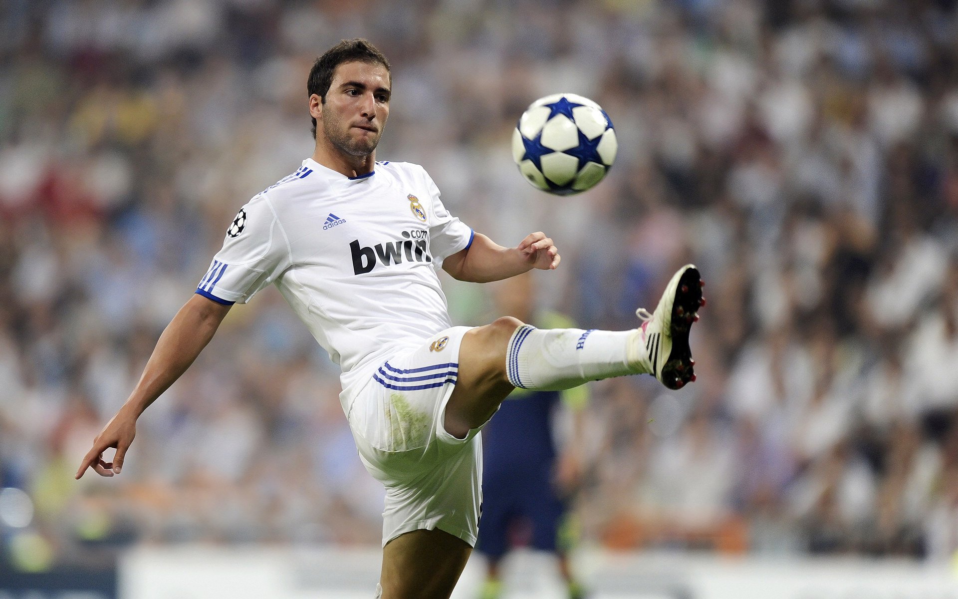 体育赛事赞助金额持续增长